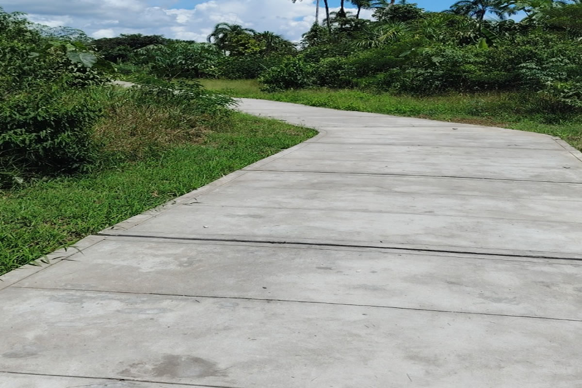 Acceso-Vial-de-Concreto-entre-San-Fernando-y-Monte-Verde-02